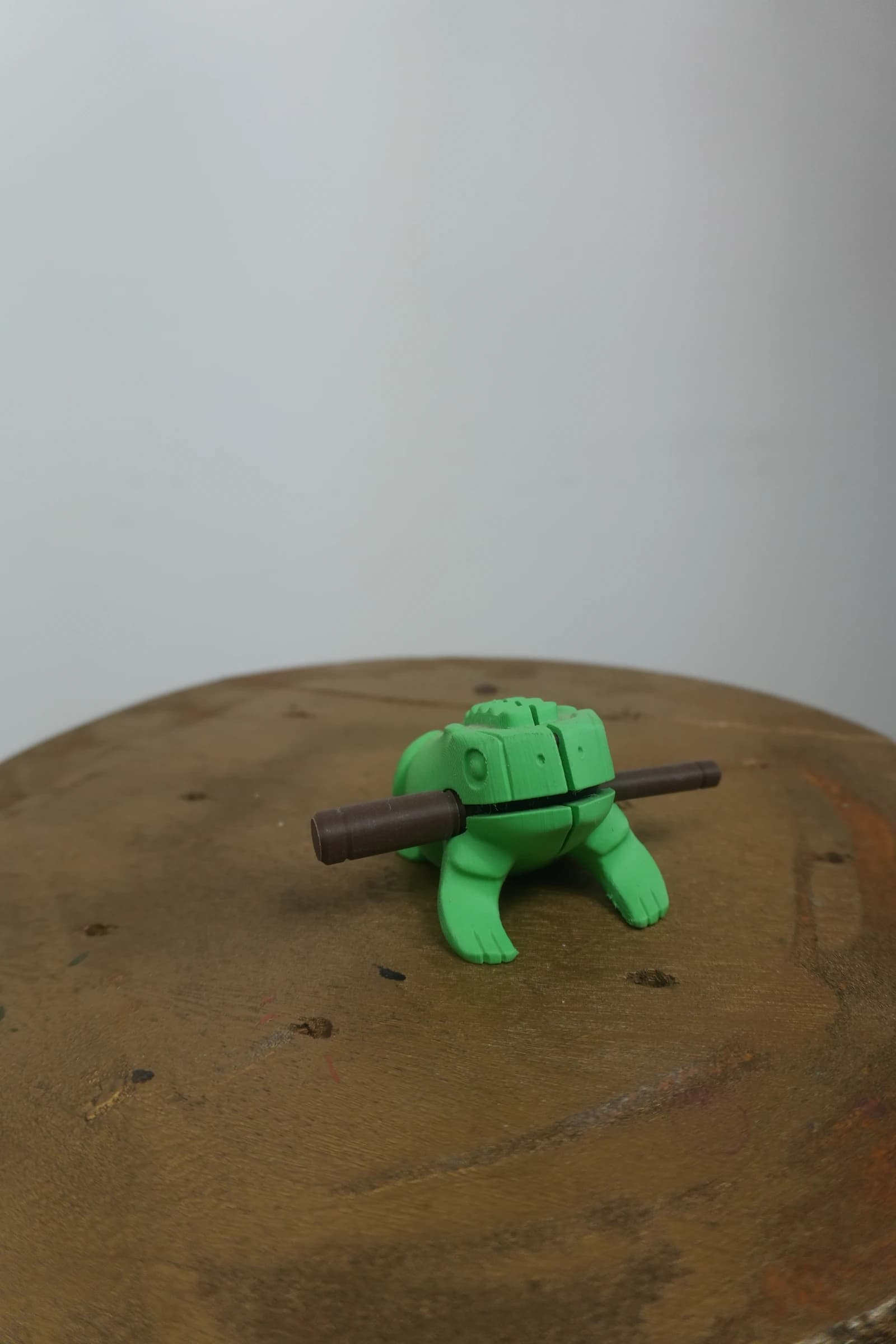 Reco-Reco Sapo 3D